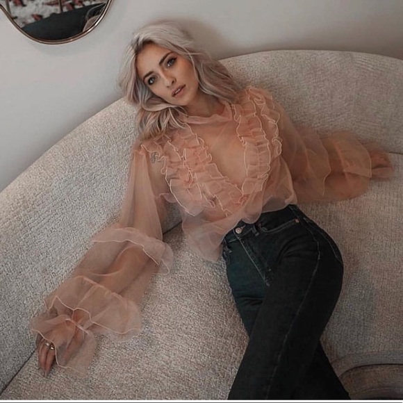 storets Tops - Sheer pink ruffle blouse - Storets Quinn
